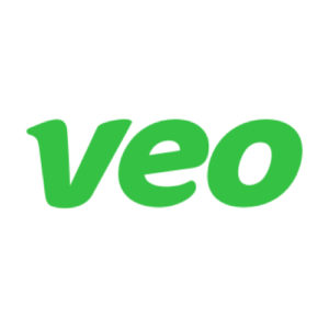 The Logo of VEO