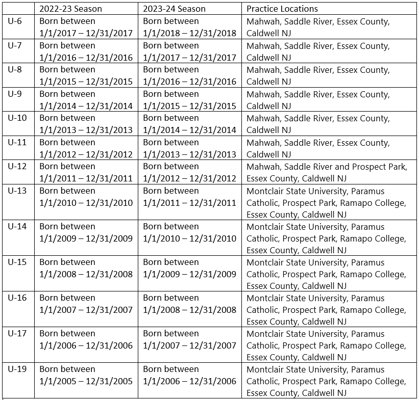 The age chart of the soccer teams in Bergen County, Essex and Calwell, NJ